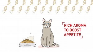 Feeding your cat wet or dry food has its own benefits. Find out which...