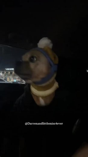 Her little hat 🥺💛🐾😭 | Darren and Little Miss