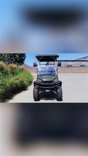 How to choose an electric golf cart? #electricgolfcart #golfcart