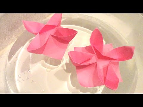 水に浮く折り紙 睡蓮 折り方 Water Float Origami "Water lily"