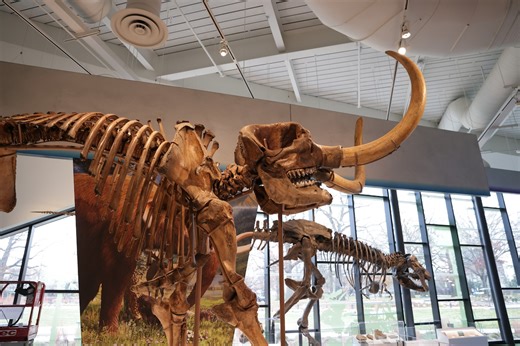 Cleveland Museum of Natural History named among world’s most beautiful museums