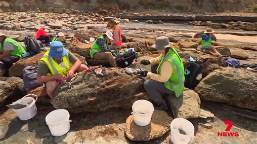 A fossil-hunting grandmother struck it lucky on a beach near Inverloch, discovering a 125-million-year-old dinosaur claw. She joined a team of volunteers to unearth a treasure trove of Jurassic history. | 7NEWS Melbourne