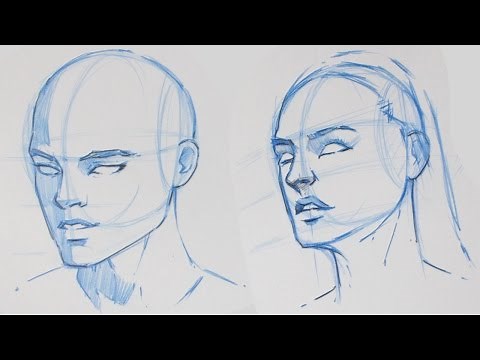 How to Draw the Human Head - 3/4 View | Tutorial 1/4