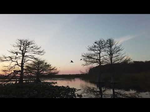 Beautiful emotional solo violin