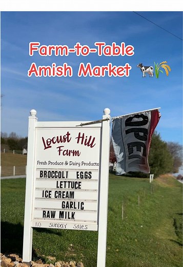 Explore the Best Amish Roadside Farm Market in PA