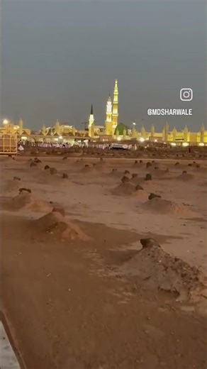 Allah ke bande ,#viral #cricketlover #shortvideo #love