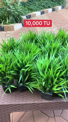 jenipher stylish store (@jenipher.stylish)’s videos with original sound - jenipher stylish store