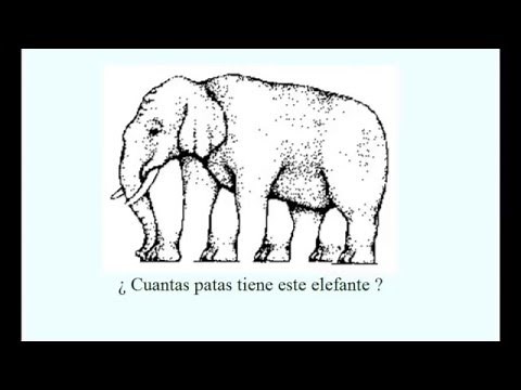 12 imagenes para percepción visual 1. visual illusions