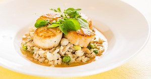 We're Serving Up the Ultimate Disney Dining Guide for Cardmembers