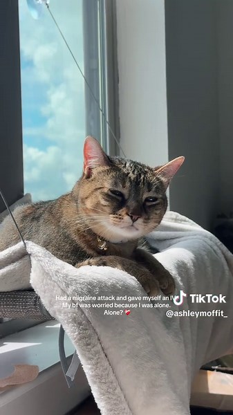 Ashley Moffit on TikTok