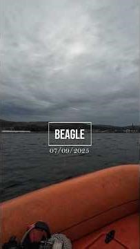 SCUBA Diving in Scotland | Wreck dive on Beagle