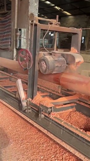 wood forming process with a machine #shortsfeed #shorts