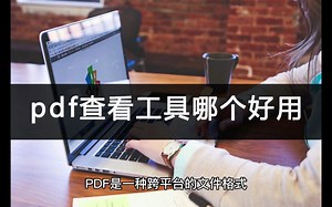 PDF查看工具哪个好用？教你一个简单方式