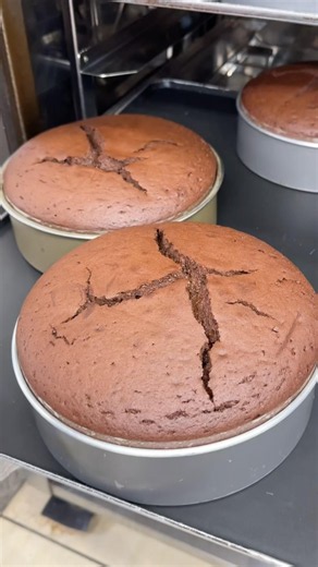 Blissful Gateau Chocolat That Will Move You With Its Cacao Aroma🍫#KyotoGourmet#Japanesefood
