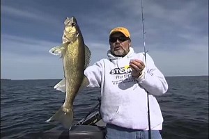 12K views · 382 reactions | WALLEYE COMPACT JIGS When the walleyes are biting on every style of jig, not only is it fun, but it also allows us to show why each style works. Al talks about a compact jig in this video. | Lindner's Angling Edge | Facebook