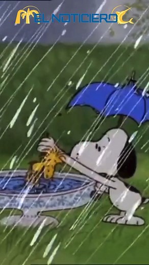 14K views · 1.6K reactions | ✨ ¡Snoopy, el Beagle más querido del...