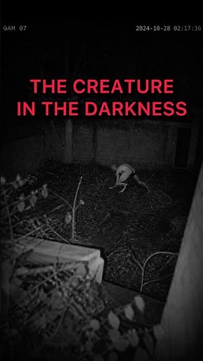Something Is Living Near That Abandoned House…