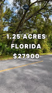 60K views · 536 reactions | 1.25 Acres with paved road access for Sale in Dunnellon Florida for $27,900 #fyp #foryou #reels #realestate #property #realtor #forsale #usa #realestateagent | Globally.land | Facebook