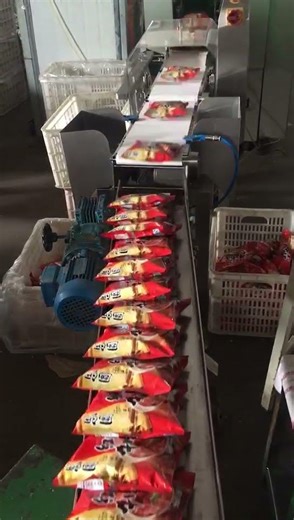 High-Speed Dynamic Checkweigher with Air Blast Reject – Precise Weighing for Bagged instant Noodles