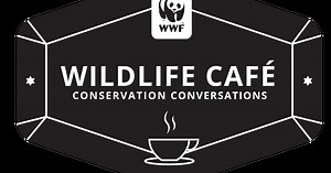 Tech is changing conservation forever