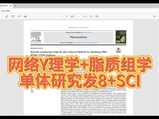 网络Y理学+脂质组学，单体研究发8+SCI，经典ERK/PPARγ/CD36信号轴快快来复现！生信分析多组学分析发高分SCI思路