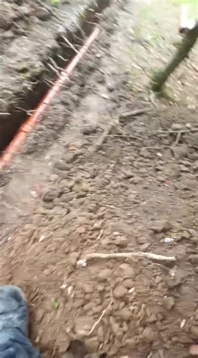 24K views · 50 reactions | Cold radiators? Noisy boiler? You might...