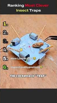Ranking These Absolutely Genius Insect Traps #creative #bugs