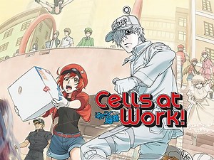 Cells at Work! (Original Japanese Version) Season 1 Episode 1
