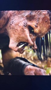 NO Xenomorphs in Predator Badlands #alien #horror #xenomorph #alienvspredator #aliensvspredator #thepredator #yautja #predatorbadlands #alienearth #alienearthfx #alienromulus #aliens #weylandyutani #xenomorphqueen #comics #comic #xenomorphs #movie | Jeremiah Martin