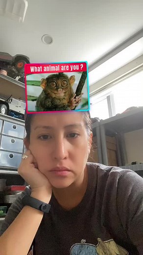 Fun Animal Personality Quiz: What Animal Are You?