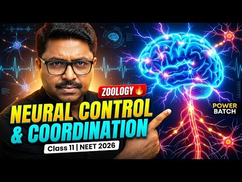 NEURAL CONTROL & COORDINATION 🔥 P-4 |Concepts + MCQs | NEET 2026 BIOLOGY 🚀