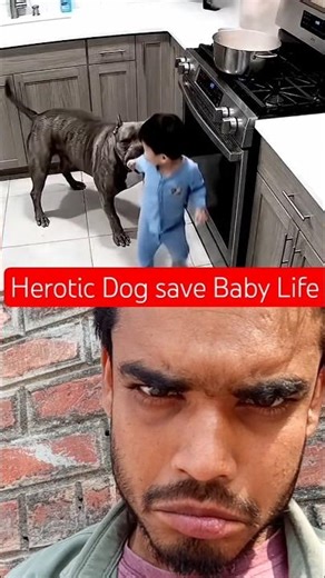 Heroic Dog Saves Baby’s Life | A True Story That Will Melt Your Heart