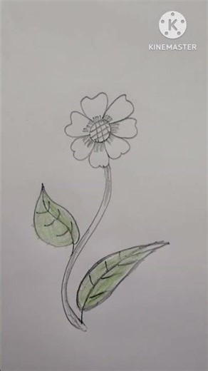 Easy Flower Drawing for Beginners | Simple Step-by-Step Tutorial #art #drawing