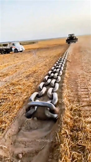 10,000 KG Chain vs Jungle