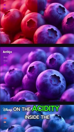 Why Blueberries Are Blue 🫐