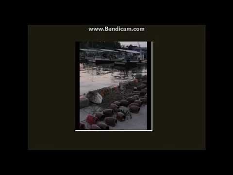 Takotsubo Cardiomyopathy