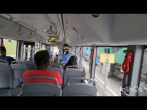 BRAND NEW Yutong Bus in JB! 🚌 VOITH Gearbox✨️🚌 BAS MY