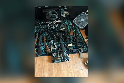 2 arrested after illegal drugs, 31 firearms found in Houston County house