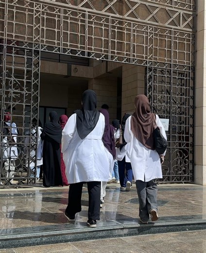 Understanding Anatomy in Medicine