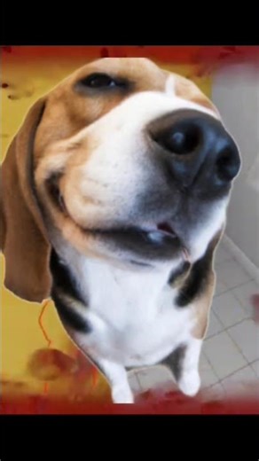 how to face man obunga🐕🐕🐕👹👹👹 kill#gaming #shorts