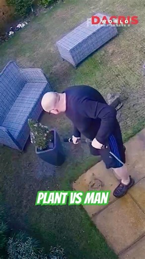 Plant VS man 🙄 #funny #plantvszombie