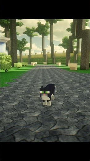 Minecraft cat #shorts #minecraft