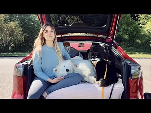 She Lives In a Tesla Tiny Home with TWO Pets | Camper Tour