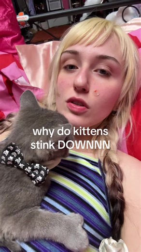 Why Do Kittens Smell Bad? Cat Advice