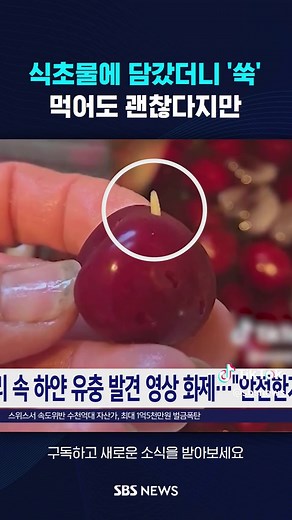 식초물에 담갔더니 '쑥'…먹어도 괜찮다지만 #체리 #과일 #유퉁 #식초 #농약