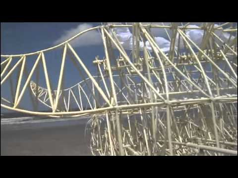 DVD Theo Jansen "Strandbeest" / テオ･ヤンセン ｢ストランドビースト｣