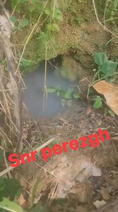 Wow 🤩 - don’t try 😂😂😂 | Tanu Richmond