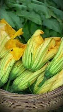 A mountain delicacy transformed into a dish on the table. #food #ditchpickle #cooking