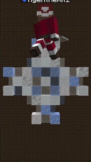 Minecraft Snowflake Builds You Need to See ❄️