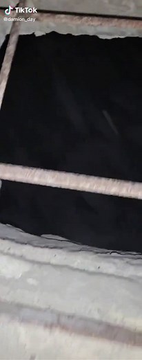 Damion_Day on TikTok